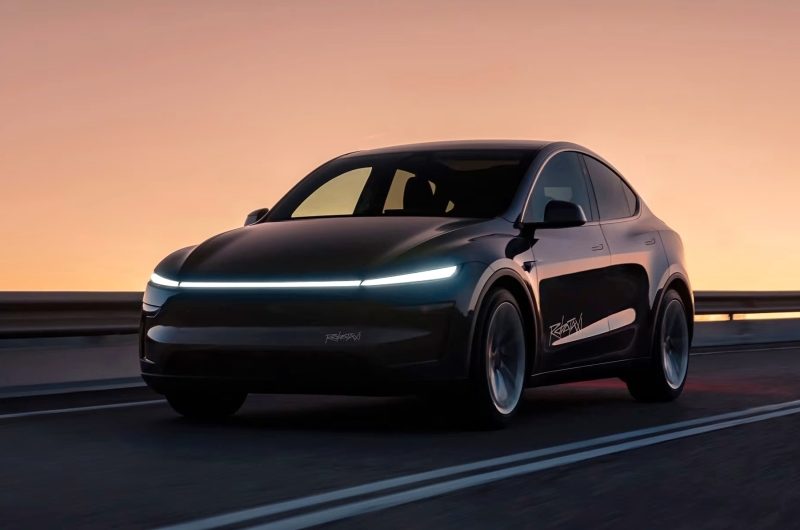 Tesla Robotaxi продолжает таранить велосипедистов, животных и другие автомобили