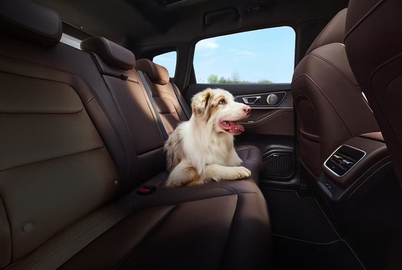 Завод в Калуге выпустил юбилейный автомобиль Tenet