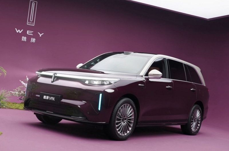 Флагманский кроссовер Wey V9X от Great Wall: фото салона и скандал